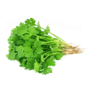 Coriander