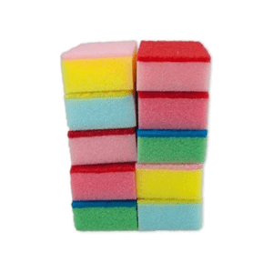 Sponge Scouring 10pc